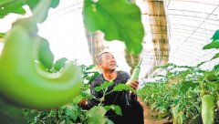 四平市积极落实省委、省要