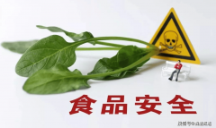 现实用浆替代蔗糖